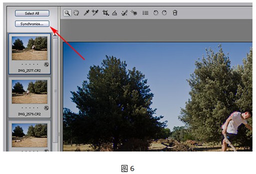 Adobe Camera Raw (ACR)